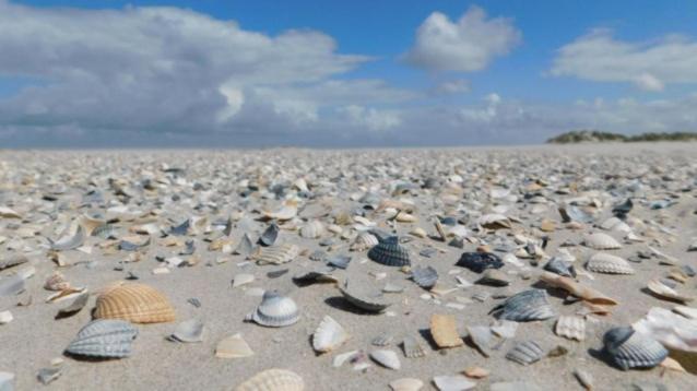 Rust op de Kust - Villa 10 pers - 4 slpk - 2 badk Middelkerke Eksteriør bilde